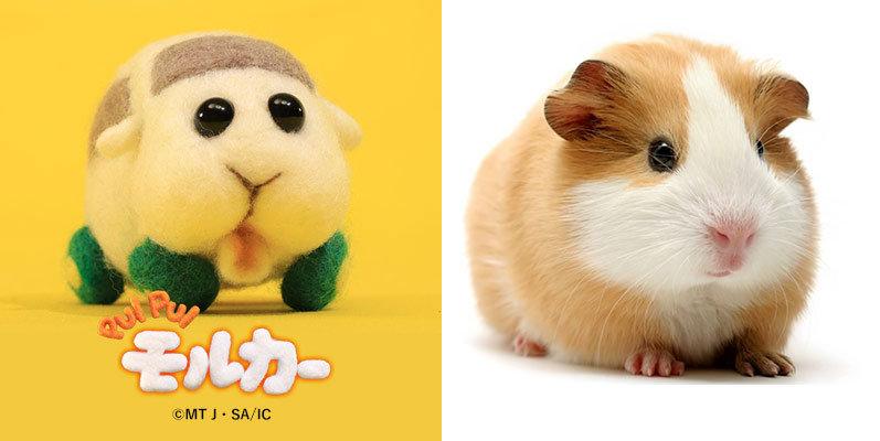 天竺鼠车车 PUI PUI